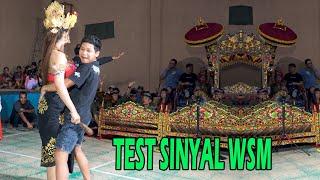 Test Sinyal WSM