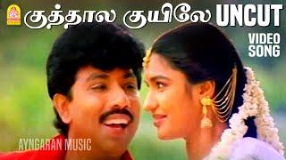 Kuthalakuyile - UnCut Video Song  குத்தாலக்குயிலே  Thirumathi Palanisamy  Sathyaraj Ilaiyaraaja