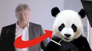 YouTube Kacke AFD gegen Pandas