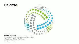 The challenges for international organisations of a complex global workforce