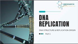 DNA Replication Part 1
