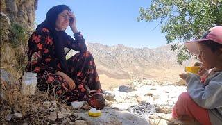 Nomadic Lifestyle Lady Zaris trip to the mountains to collect herbal tea