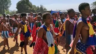 Dancing maidens at Umhlanga Reed Festival in Eswatini 2019