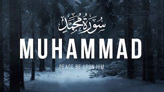 Surah Muhammad سورة محمد  TRANQUILITY