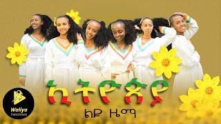 Liyu Zema - Ethiopia  ኢትዮጲያ - Ethiopian new year Song 2023  Official Video - Waliya Entertainment