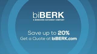 Small Business Insurance Experts  biBERK