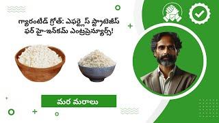 Puffed Rice  Marketing Secrets 4  Telugu  Best Business Idea 2024