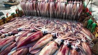 Fishermen Catch Millions Of Giant Squid This Way - Japanese Chef Cuts And Prepares Giant Squid