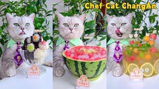 Satisfy Your Tummy With Chef Cats UNIQUE Handmade SnacksCat Cooking Food  Cute And Funny Cat