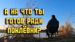 А НА ЧТО ТЫ ГОТОВ РАДИ ПОКЛЕВКИ?