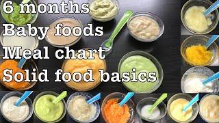 Baby Food Recipes For 6 Months  Fruit and Vegetable Purees  Porridges  Stage 1 Homemade BabyFood