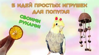 DIY 5 полезных игрушек для твоего попугая 