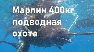 Самый большой Марлин в мире 400кг.  Подводная охота на марлина. Владимир Середа