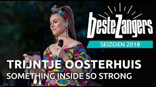 Trijntje Oosterhuis - Something inside so strong  Beste Zangers 2018