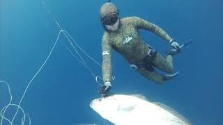 Spearfishing Mulloway Pearl Perch & Big Snapper in Queensland