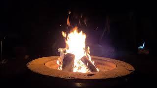 Campfire Serenade - JR Dahman singing Leonard Cohens Hallelujah on Ukulele