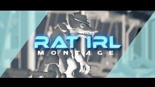 RAT IRL SEASON 9 MONTAGE