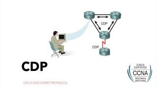 CDP  configuration and verification  CCNA 200-301