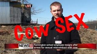 The craziest news story EVER Man has sex with cow lol jello