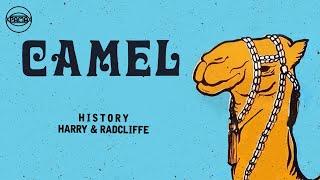 Harry & Radcliffe - History Official Audio  Pama Records