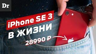 2 МЕСЯЦА с iPhone SE 2022 ПОСЛЕ Android  Большой обзор