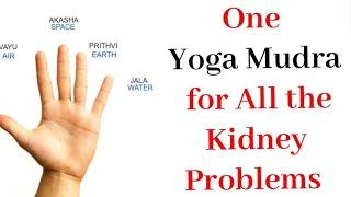 One Yoga Mudra for All the Kidney Problems - SwellingEdemaHigh Creatinine levelsWater retention