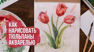 Как нарисовать тюльпаны поэтапно акварелью  Видео уроки по рисованию для начинающих. Онлайн школа