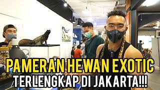 GREBEK PAMERAN HEWAN EXOTIC TERLENGKAP DITENGAH TEMPAT MAKAN??