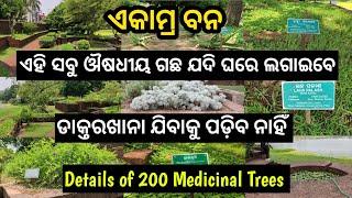 Ekamra Bana - List of 200 Medicinal Trees and its usage and benifits. Bindu Sarovar.#Ekamravan.