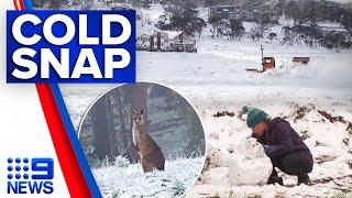 Polar blast brings unseasonal snowfall to Australia’s south-east  9 News Australia