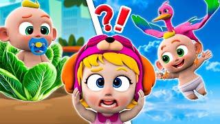 How Was A Baby Born?   Little Brother Is Coming  NEW Nursery Rhymes For Kids