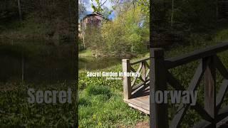 Secret stunning Garden In Norway Unique Garden #shorts #norway #garden