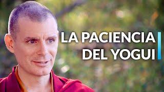 La Paciencia del Yogui