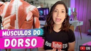 MÚSCULOS superficiais e médios do DORSO