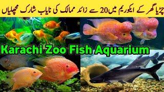 Karachi Zoo Fish Aquarium   Karachi Zoo me Shark Fish  Fish Aquarium in Garden Zoo  Aquarium park