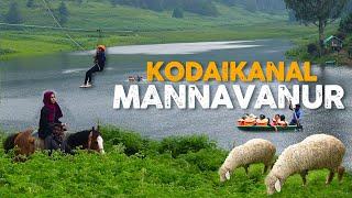 கொடைக்கானலின் உண்மையான அழகு மன்னவனூரில் உள்ளது  Mannavanur Kodaikanal  Kodaikanal Tourist Places