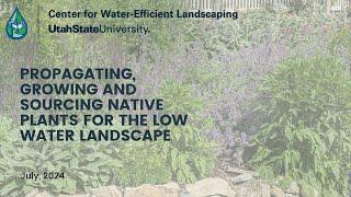 Propagating Growing and Sourcing Native Plants for Low Water Landscapes