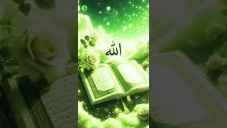 Beautiful Quran