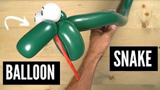 Balloon Snake Easy to Make and Looks AMAZING