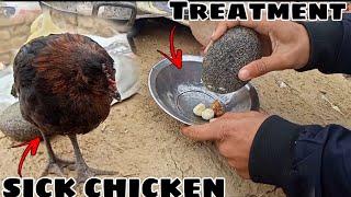 Best Home remedies for sick chickens  Best medicine for sick chickens  House Poultry