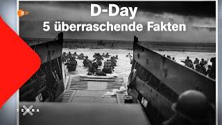 5 überraschende Fakten über D-Day  Terra X