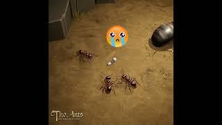 【THE ANTS UNDERGROUND KINGDOM】