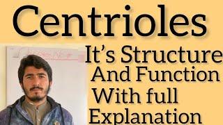 Centrioles it’s Structure and Function in Class 11