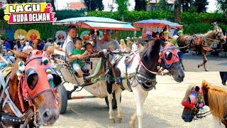 KUDA DELMAN ISTIMEWA ‼️ KUMPULAN LAGU NAIK KUDA DELMAN 2024  KUDA  NAIK KUDA  KUDA DELMAN  HORSE