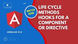 Angular V14 Complete Life Cycle Hooks Methods for the Component or Directive - Angular