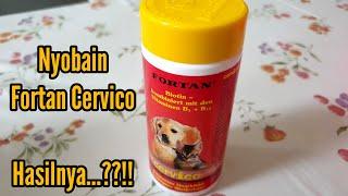 Vitamin anjing kucing FORTAN CERVICO bagus gak sih? Untuk tubuh tulang dan bulu anjing kucing