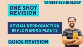 Sexual Reproduction in Flowering Plants  One shot Quick Revision