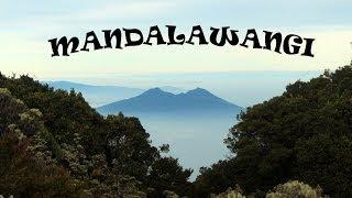 Lembah Mandalawangi - Taman Edelweiss