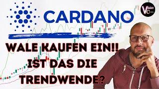Wale kaufen Cardano ADA Kommt jetzt die Trendwende? Infos für Investoren Anleger und Anfänger