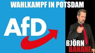 AfD Wahlkampf Potsdam  Live mit Björn Banane